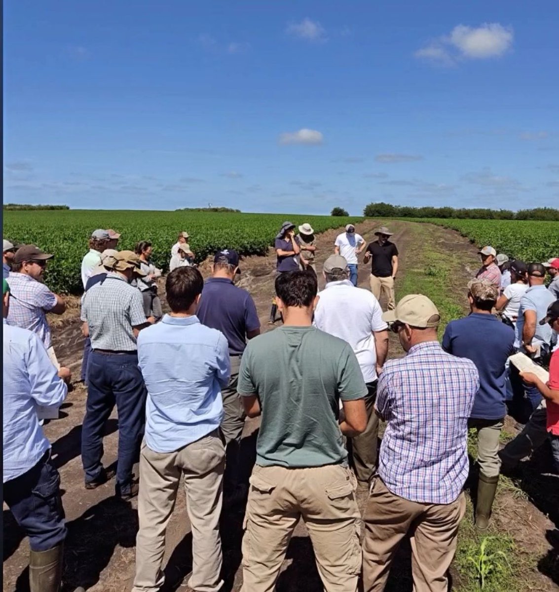 Jornada de campo de sojas regadas. Muy buen intercambio para disminuir brechas de rendimiento. Agradecer a los participantes, empresas colaboradoras y los dueños de casa, por toda la colaboración