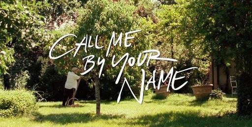title cards from luca guadagnino