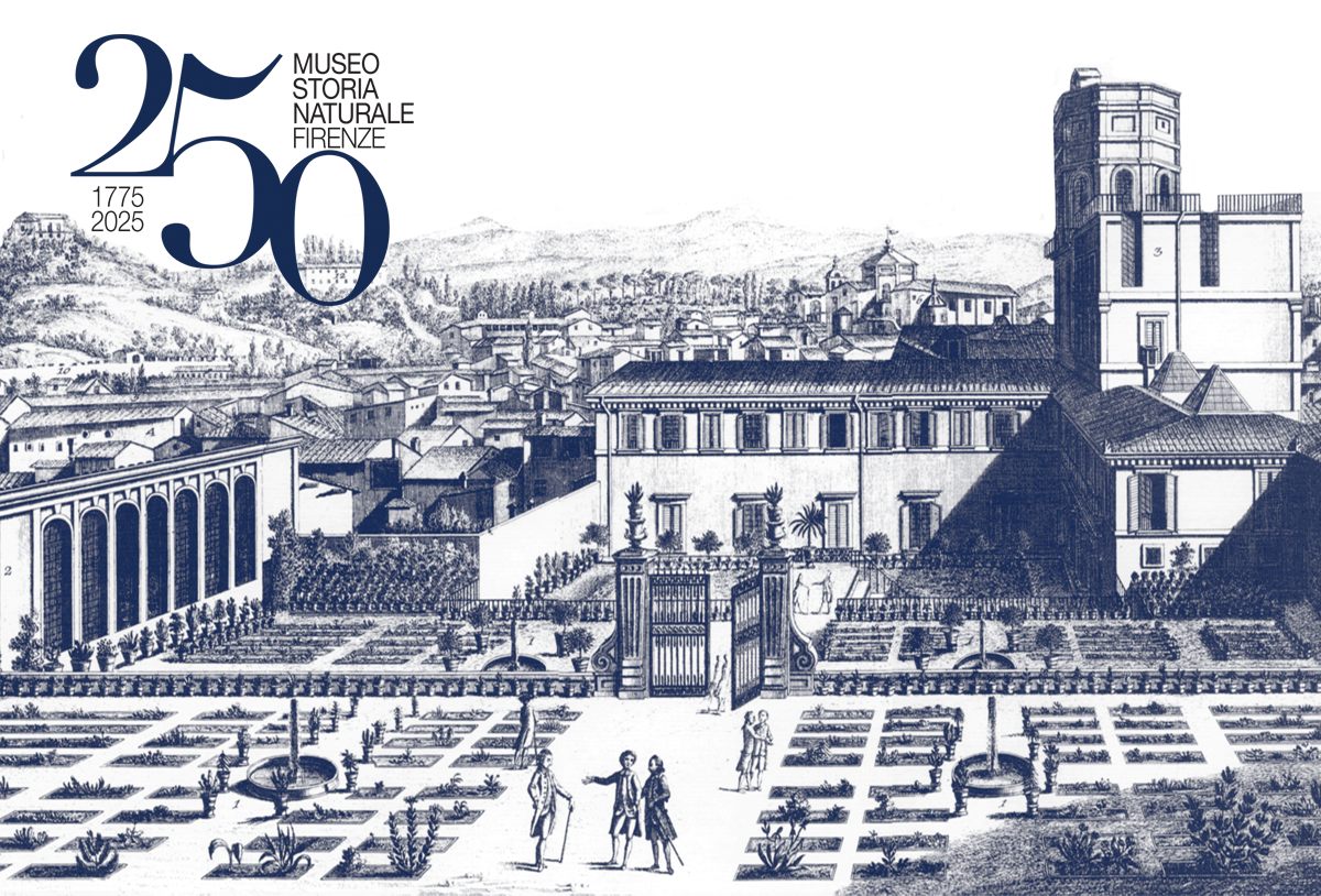 #Unifi festeggia i 250 anni del Museo di Storia Naturale dell’Ateneo. Al via un calendario di eventi
Il 21 febbraio convegno in Aula Magna
22 e 23 febbraio aperture gratuite, visite guidate, laboratori nelle sedi del Sistema Museale di Ateneo
👉u.garr.it/qZkfz