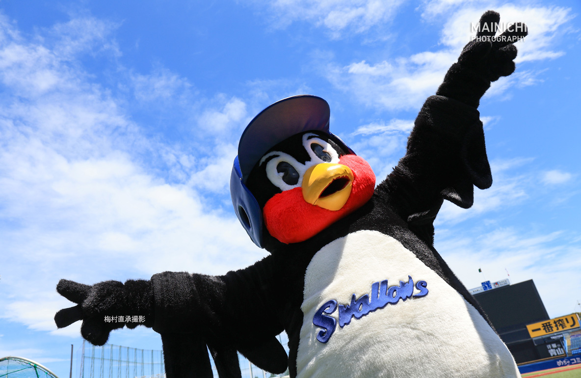 ヤクルトスワローズ の #つば九郎 が「天国へ飛び立ち」ました。つば