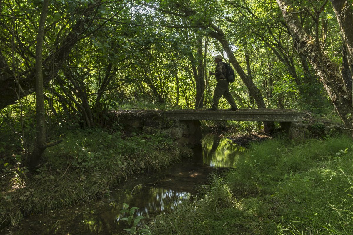 🚴‍♂️⛰🏃‍♀️ ¿Te gustaría conocer #Villadiego y su entorno del Geoparque Mundial UNESCO Las Loras? 

¡Consulta nuestro programa de rutas por la zona de Villadiego y el Geoparque! 
O escribe o llama: 
💌 turismo@villadiego.es
☎️ 659 49 15 37 

Enlace: villadiego.es/rutas 🇪🇸 🇬🇧