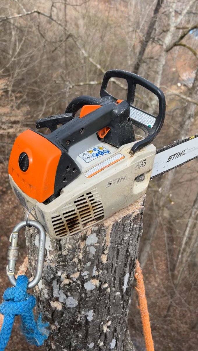 BowTiedAxeman's tweet image. Soaring with the eagles. And the trees are coming down with me