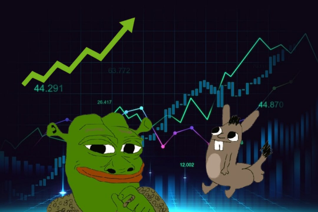 ShrekPepecoin's tweet photo. $SHREPE to the moon๐
#shrepe #memecoin #Solana https://t.co/vjhuFlIXGS