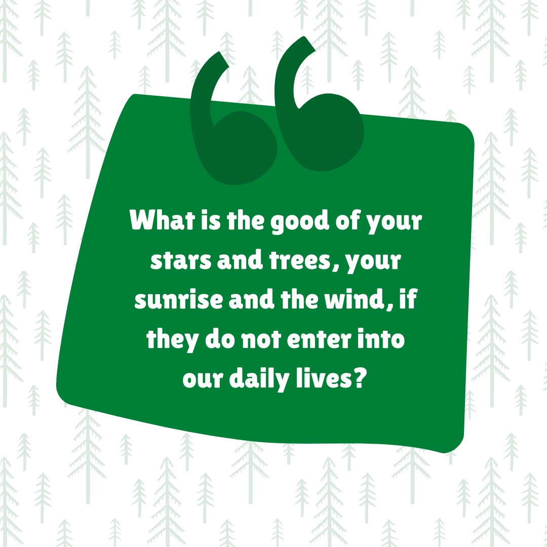 BrockleyTree's tweet photo. Don't take nature for granted, enjoy it often! 💚 #NatureQuotes https://t.co/xbzU22CZiv