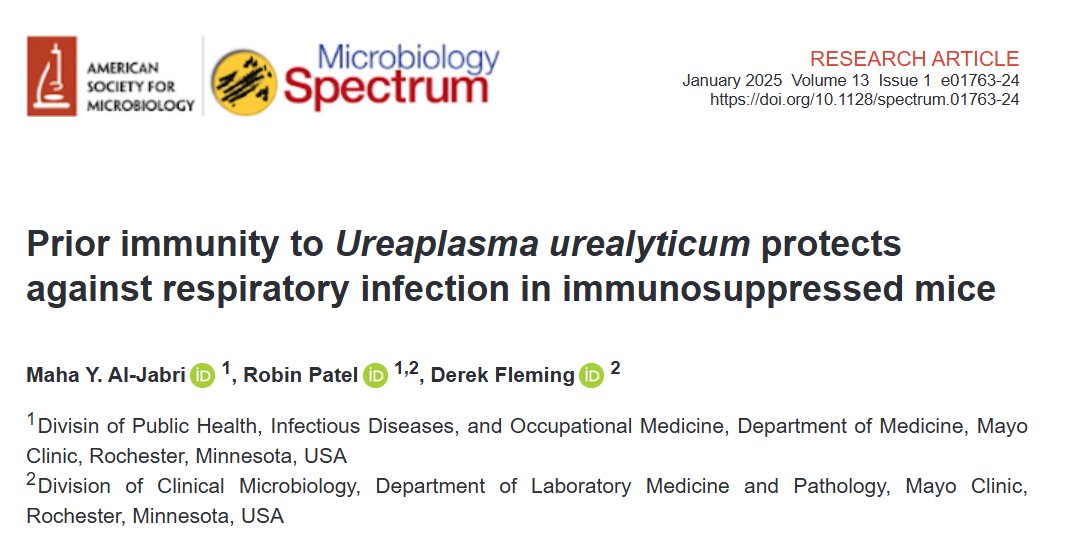Mayo Clinic Infectious Diseases (@mayoclinicinfd) on Twitter photo Publication Alert
Prior immunity to Ureaplasma urealyticum protects against respiratory infections in immunosuppressed mice.
Congratulations to our TXID fellow Dr. Maha Al Jabri and her mentorship team <a href="/micro_rp/">Prof. Robin Patel</a>
bit.ly/4i3lGqt Publication Alert
Prior immunity to Ureaplasma urealyticum protects against respiratory infections in immunosuppressed mice.
Congratulations to our TXID fellow Dr. Maha Al Jabri and her mentorship team <a href="/micro_rp/">Prof. Robin Patel</a>
bit.ly/4i3lGqt