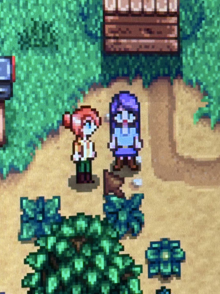 可怜小妞 tweet media