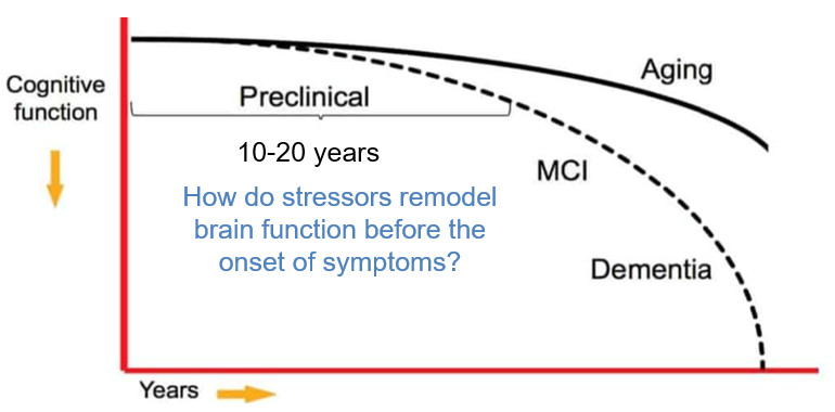 GabrielaChiosis's tweet photo. 🧠✨ "How do stressors remodel brain function before symptoms emerge?"
Check out  https://t.co/yQR5e4SRpM exploring how progressive protein network miswiring drives #Alzheimer  disease—and how these changes can be reversed. #Neuroscience #Network #SystemsBiology https://t.co/FRi4Fe0QTn