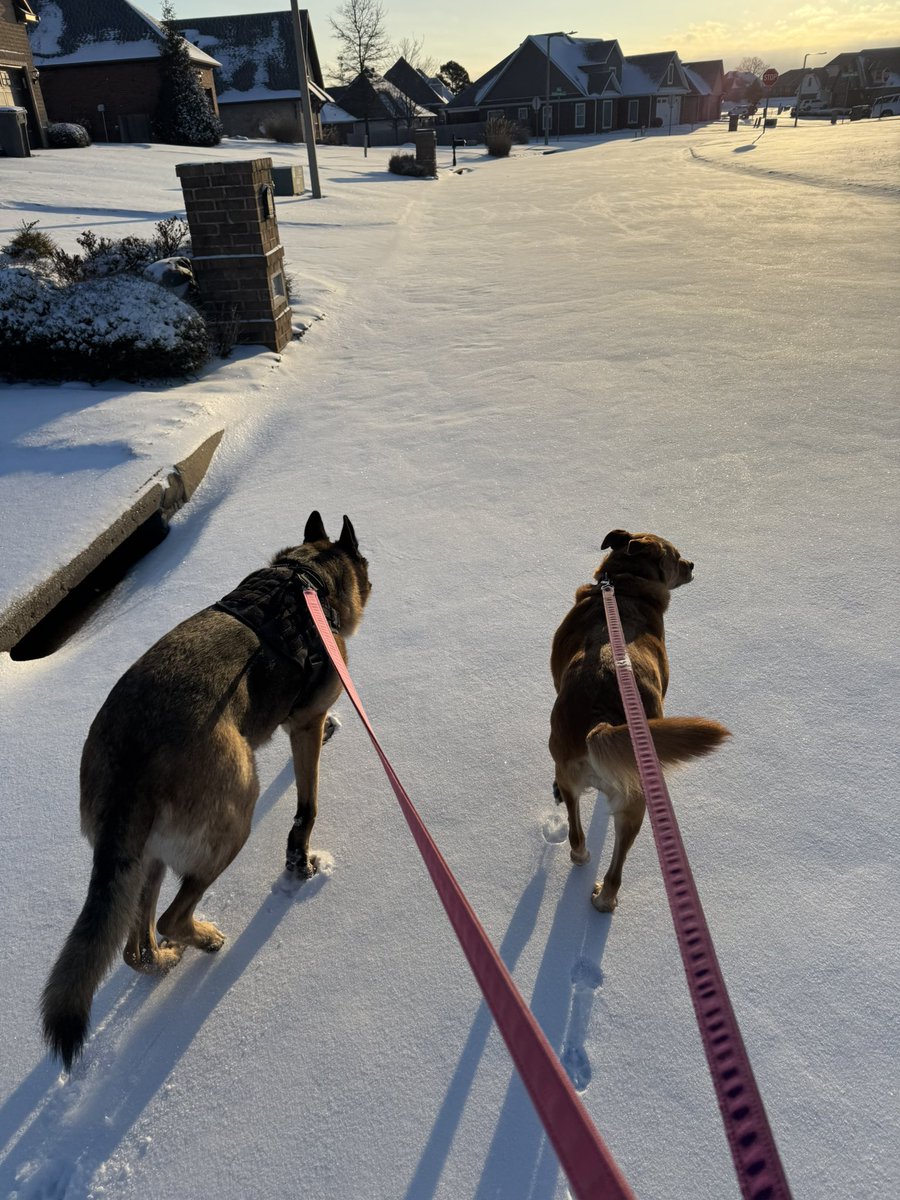 68shooter's tweet photo. Pretty walk around the neighborhood this morning with Sadie and Zoey. #SemiPrivate #ARWx #HowBoutAFresca #ImNoDoorknobEither https://t.co/gVhUUP5iYN