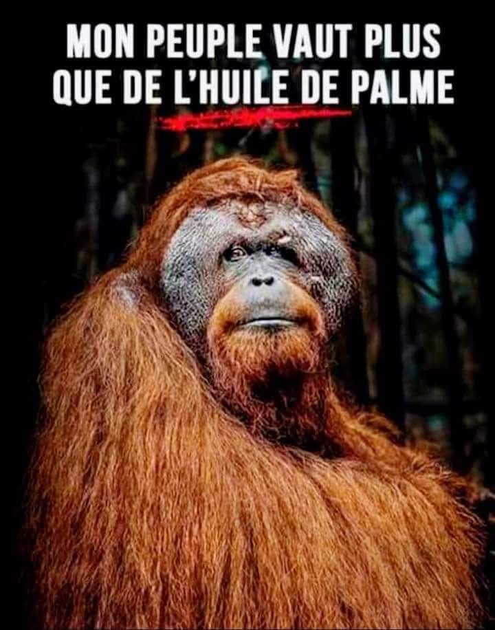 Adea Claude (@adeaclaude) on Twitter photo 