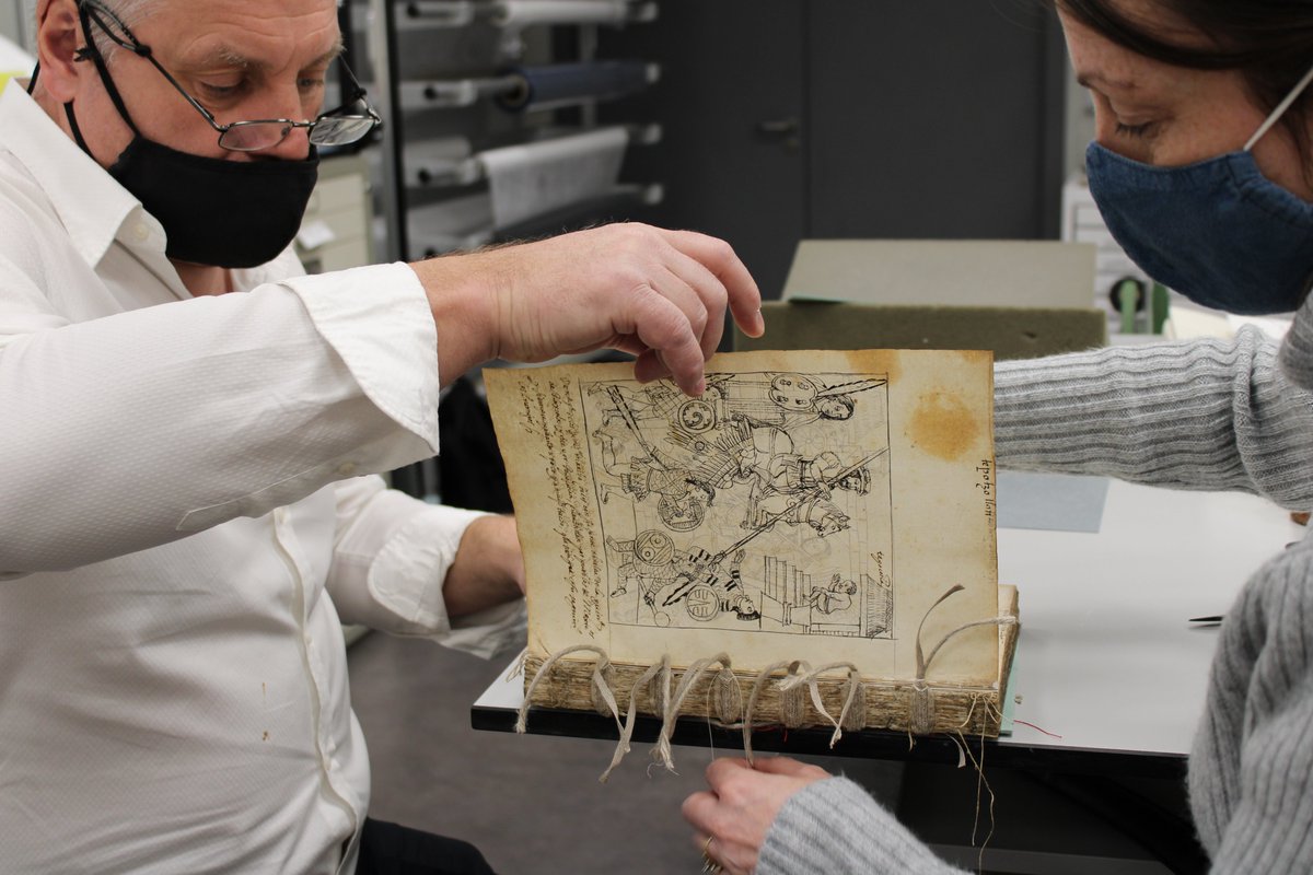 Many of the projects we fund have a training element (e.g. internship,  student placement etc) not mandatory but great if feasible as it  increases the benefit of our grant AND benefits the conservation  profession.