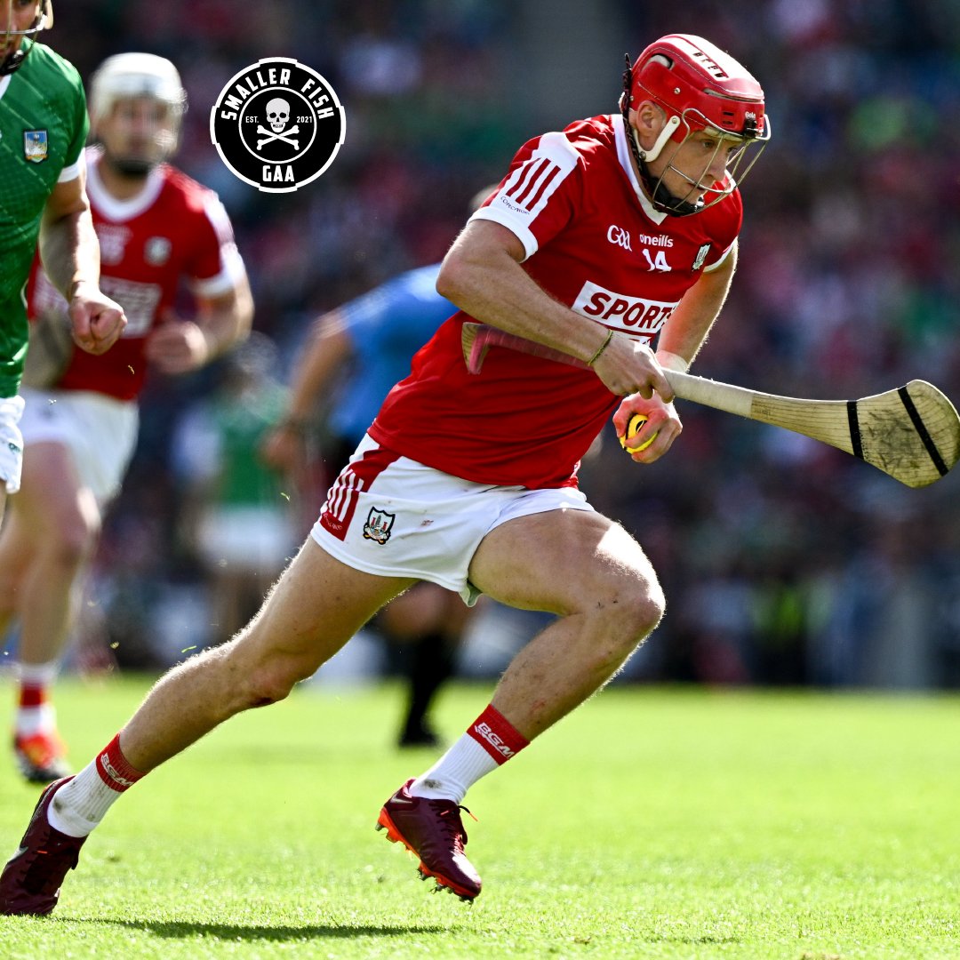 Smaller Fish tweet media