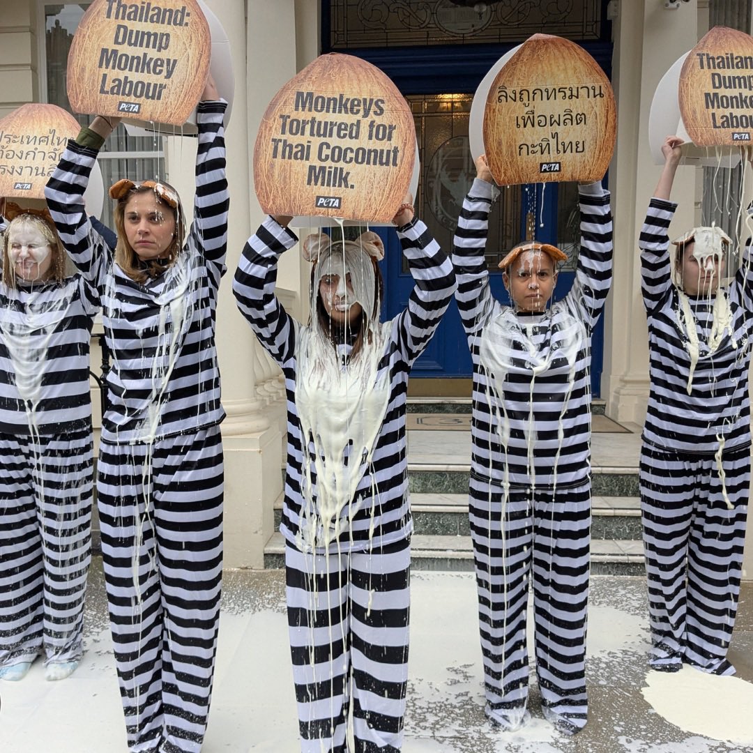 PETA tweet media