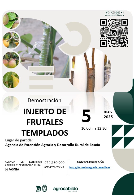 AgrocabildoTfe's tweet photo. ¿Te interesa aprender técnicas de injerto para frutales templados? 🍎
Este 5 de marzo, acompáñanos en la demostración en la Agencia de Extensión Agraria de Fasnia. ¡Apúntate y mejora tus cultivos!

Inscripción en https://t.co/LeKHpaHxUR

#Agrocabildo #Injerto #FrutalesTemplados https://t.co/Y6ctj2i1ea