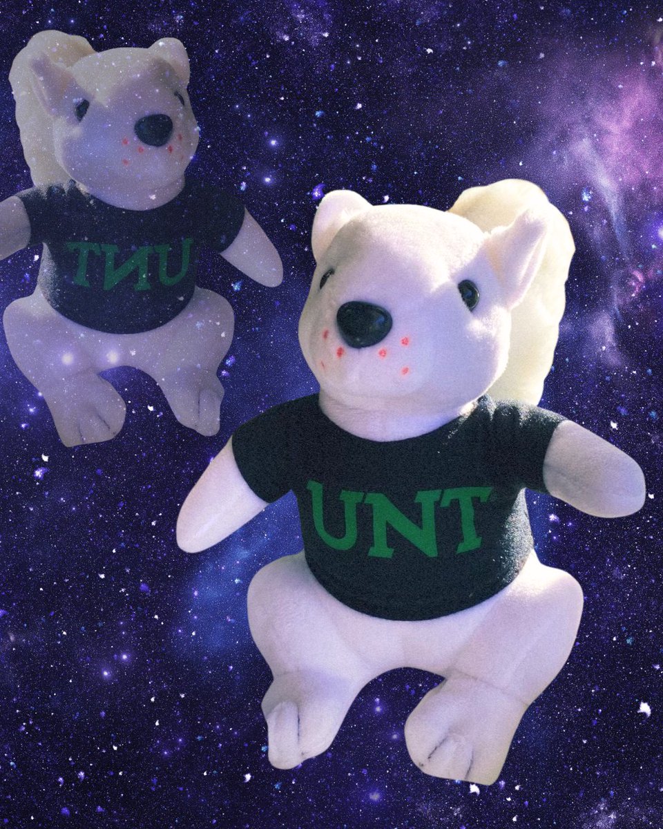 There's a new squirrel in town 💅 #gmg #lucky