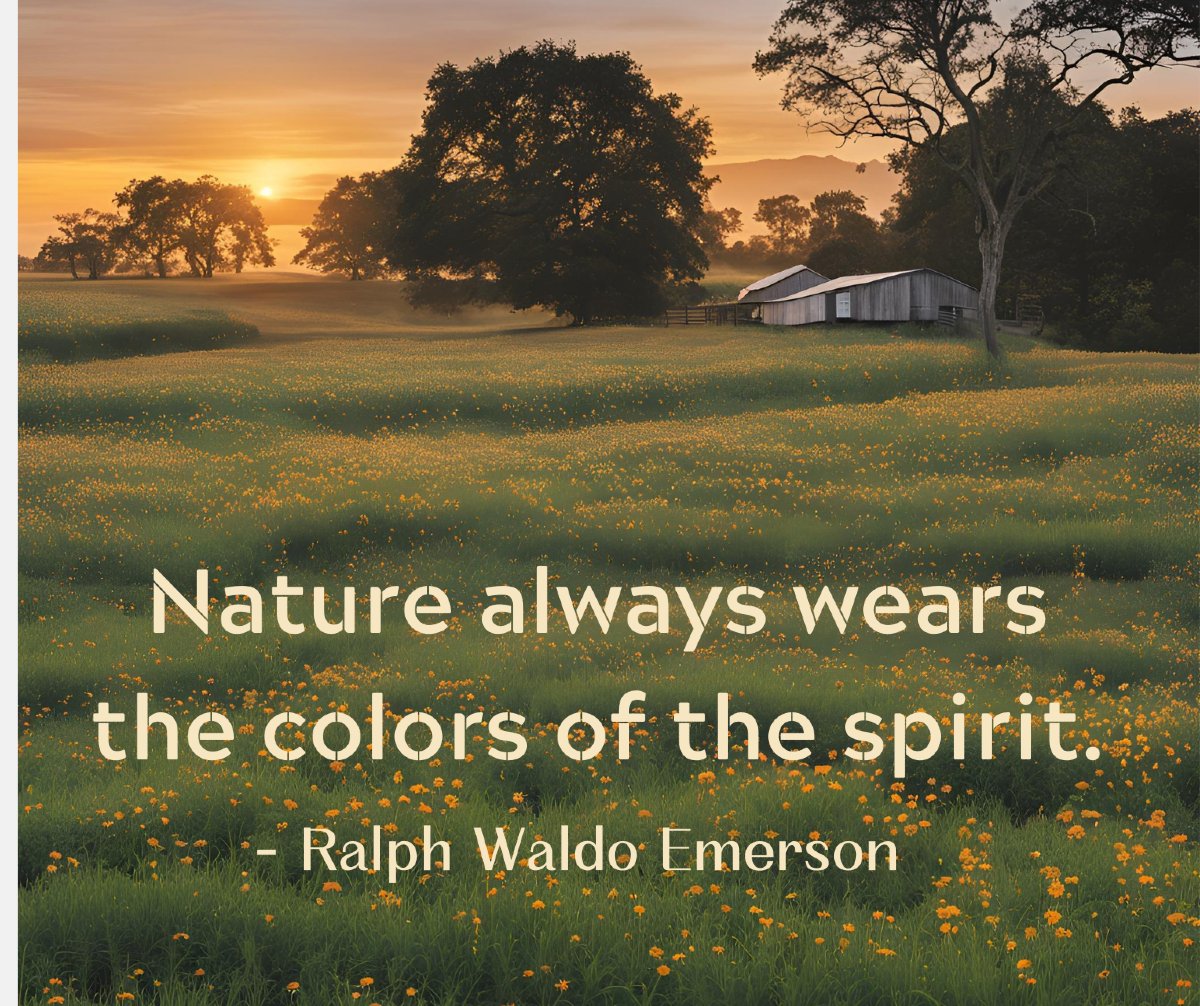 Cheers to all who kick off their shoes and socks and embrace the incredible feeling of the grass beneath our feet! It's such an amazing way to start your day. Or end it, too! Wishing you THE GOOD STUFF! 💯💫❤️ #spreadalillove