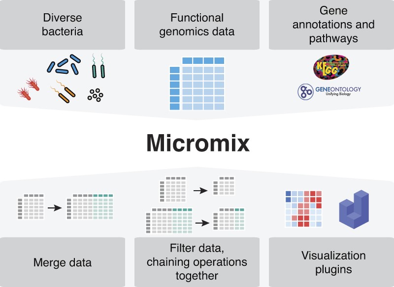 Presenting a new flexible web platform for sharing and integrating microbial omics  data, including RNA-seq and transposon-insertion sequencing.

Micromix: web infrastructure for visualizing and remixing microbial ‘omics data doi.org/10.1093/gigasc…