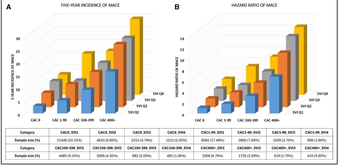 Social vulnerability matters in cardiovascular risk! Our study in <a href="/CircImaging/">CircImaging</a> shows that the Social Vulnerability Index modifies the impact of coronary artery calcium scores on major adverse cardiovascular events in a cohort of ~49k patients.

Read here: shorturl.at/NzapE