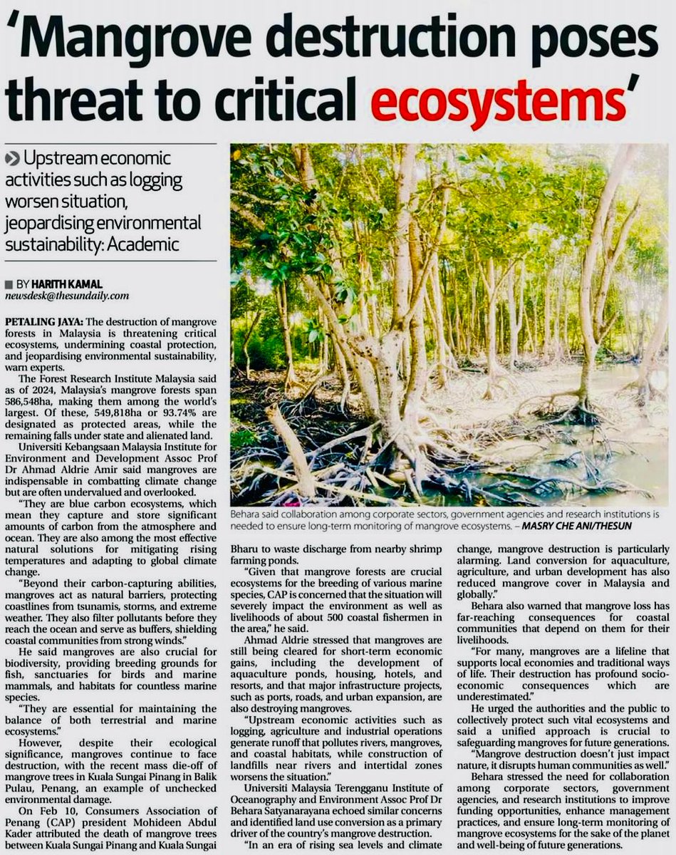 It's time to stop mangrove destruction and have good collaboration among corporate, government and educational sectors..