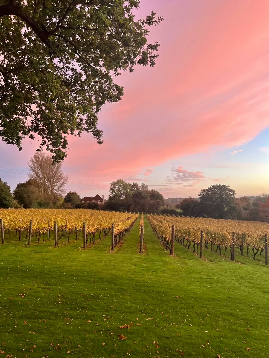 wine_mag's tweet photo. #Champagne? No, #Englishsparkling “alla cieca”. Il test di un #ristorante stellato https://t.co/jSRBmTihxE https://t.co/67qrzGFatU