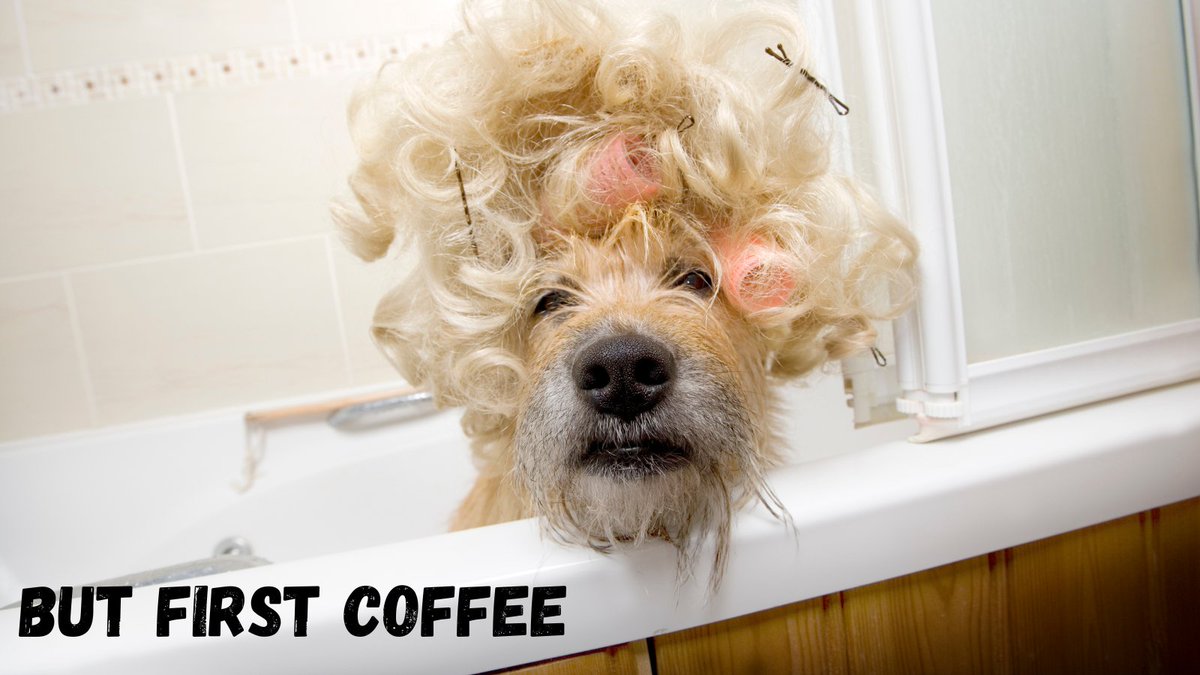 Caffeicaltd's tweet photo. All of us before our morning coffee! #Coffee #CoffeeTime   #caffeica https://t.co/pU5MBR5Win