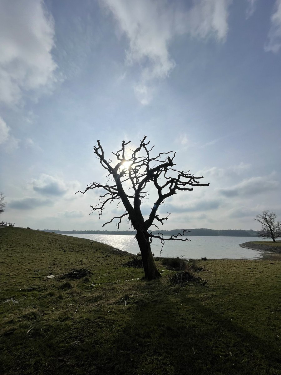 Lee Madgwick tweet media