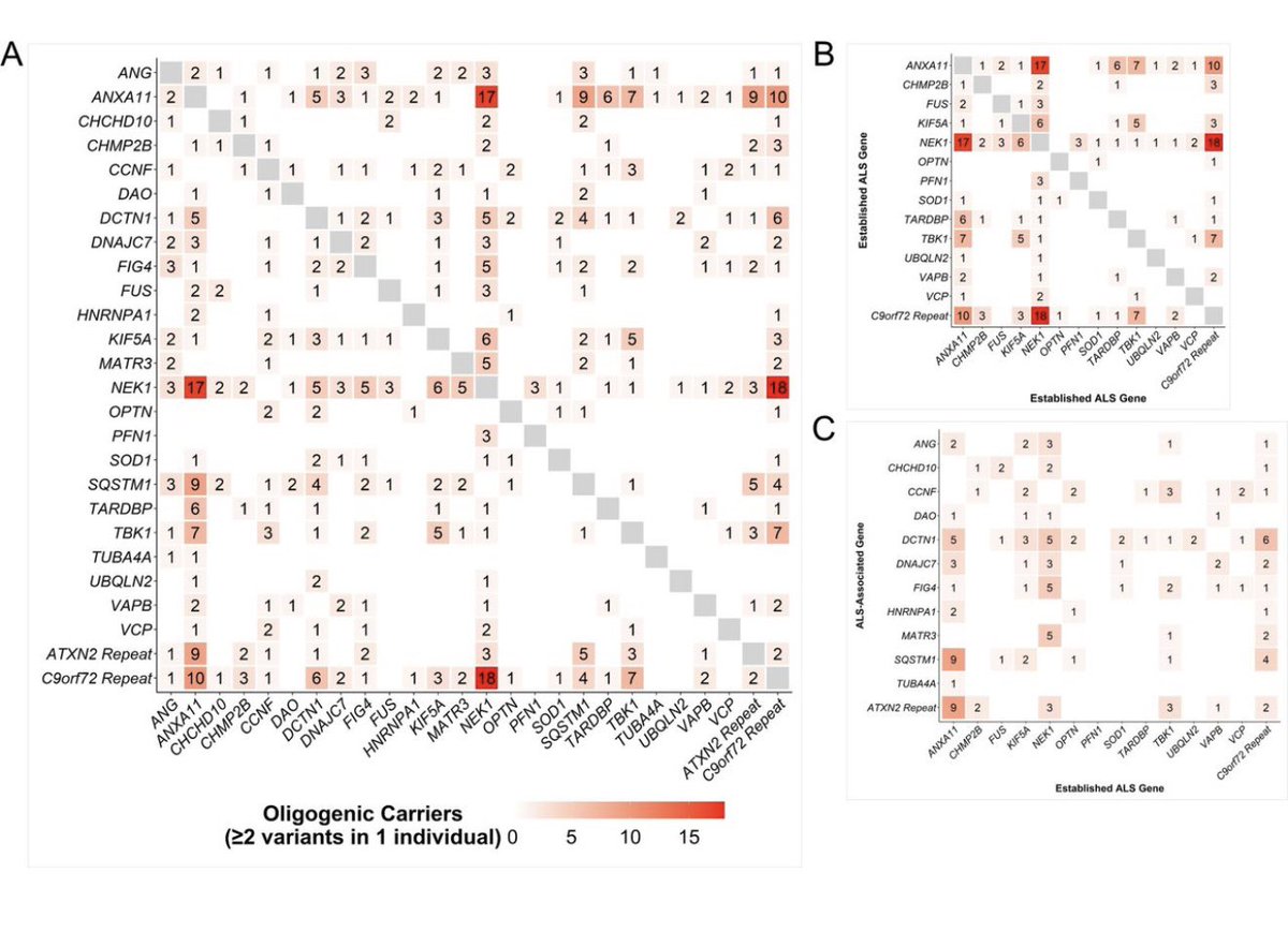 Genetic testing for #ALS #MND should go beyond identifying a single mutation. Even if a known genetic cause is found. A comprehensive analysis provides a clearer understanding of the condition and can help guide care &amp;research efforts. Happy to help in this fantastic project.