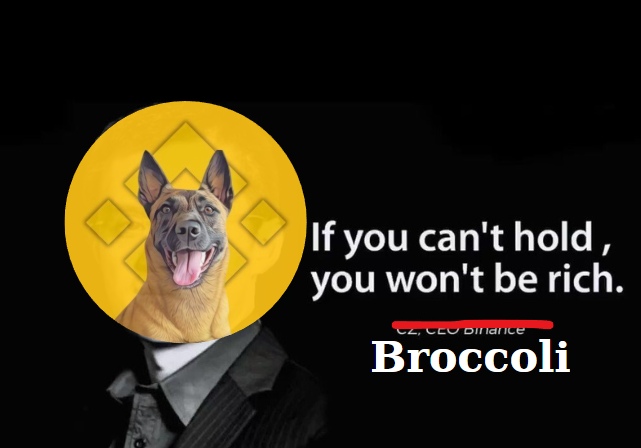 BroccoliBNBcaaB's tweet photo. If you can't hold, you won't be rich
0xa14B0b99c9117eA2F4FB2C9D772d95d9fd3acaAb https://t.co/OxNIdbUbm3