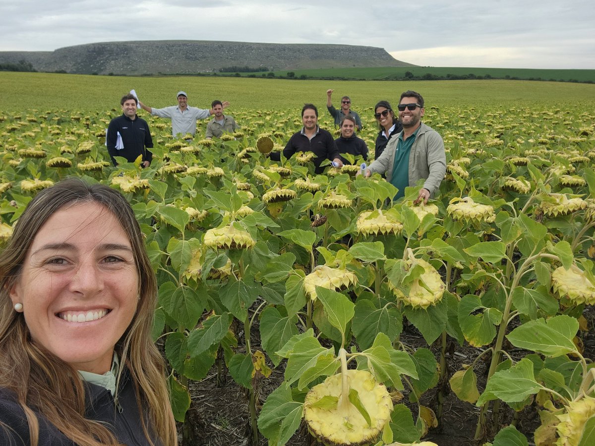 Luz Mosso Bancalari tweet media