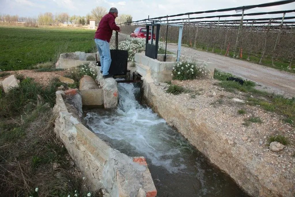 🌽 Una sentència obre la porta a més reclamacions 📄 La Comunitat de Regants dels Canals d’Urgell haurà d’indemnitzar un pagès per la pèrdua del 100% de la collita de panís el 2023. El jutge descarta força major per la sequera i critica la manca d’avisos previs. #Agricultura