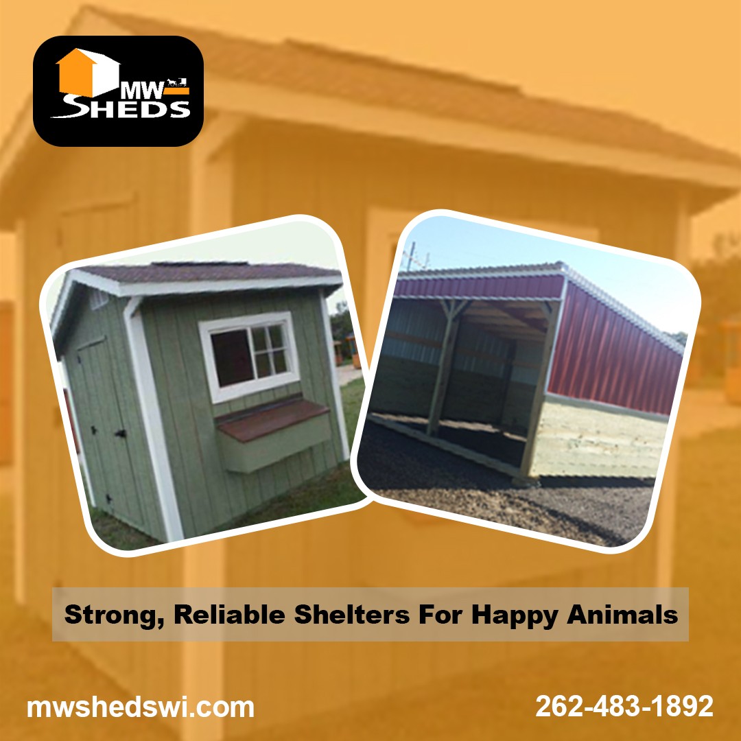 mwsheds's tweet image. Give your animals a safe and durable shelter! Our #highqualitysheds in Kewaskum provide comfort and protection in all seasons. Custom-built to suit your needs—order yours today! 

bit.ly/3ZuLWSk

#AnimalShelters #SafeAndDurable #KewaskumSheds #CustomBuilt