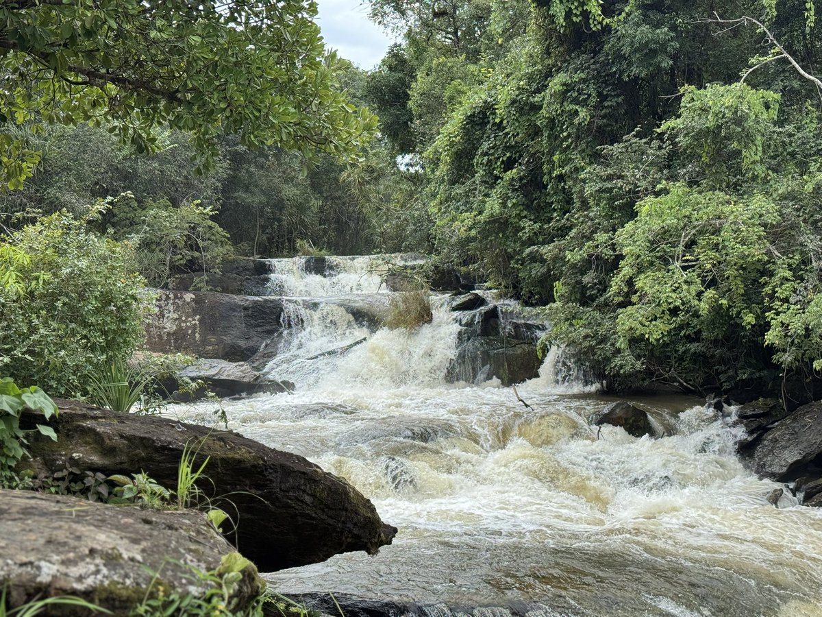 Life experiences 
Kolwezi, DRC