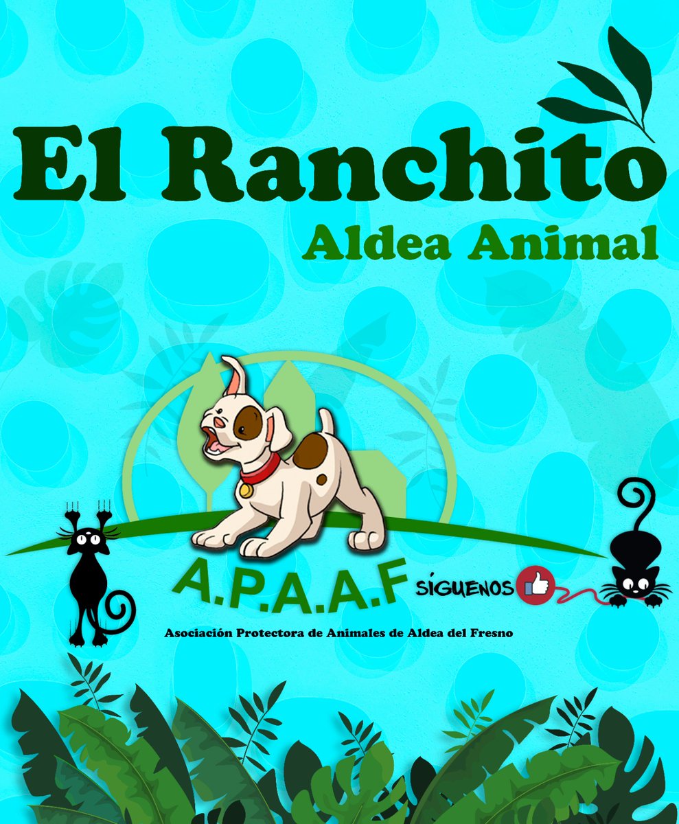 El Ranchito de Aldea Animal continúa. 
Mas info en: 
facebook.com/photo/?fbid=94…