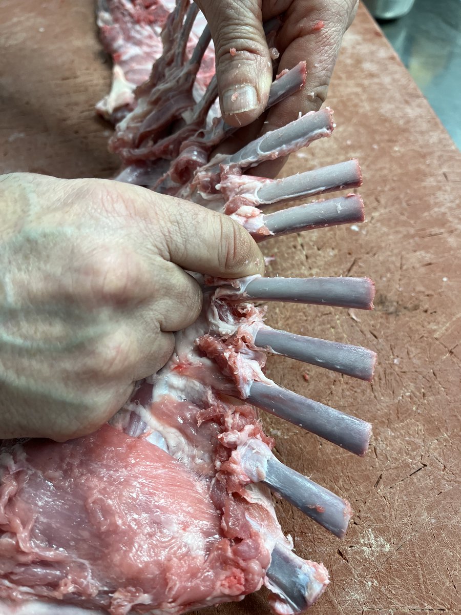 👨‍🍳 Nuestro alumnado está aprendiendo el arte del despiece y la preparación del cordero 🐑 para elaborar paletillas rellenas, coronas, medallones, tournedós y chuletillas. 🔪🔥 

#BIRTLH #FormaciónProfesional #FPEuskadi