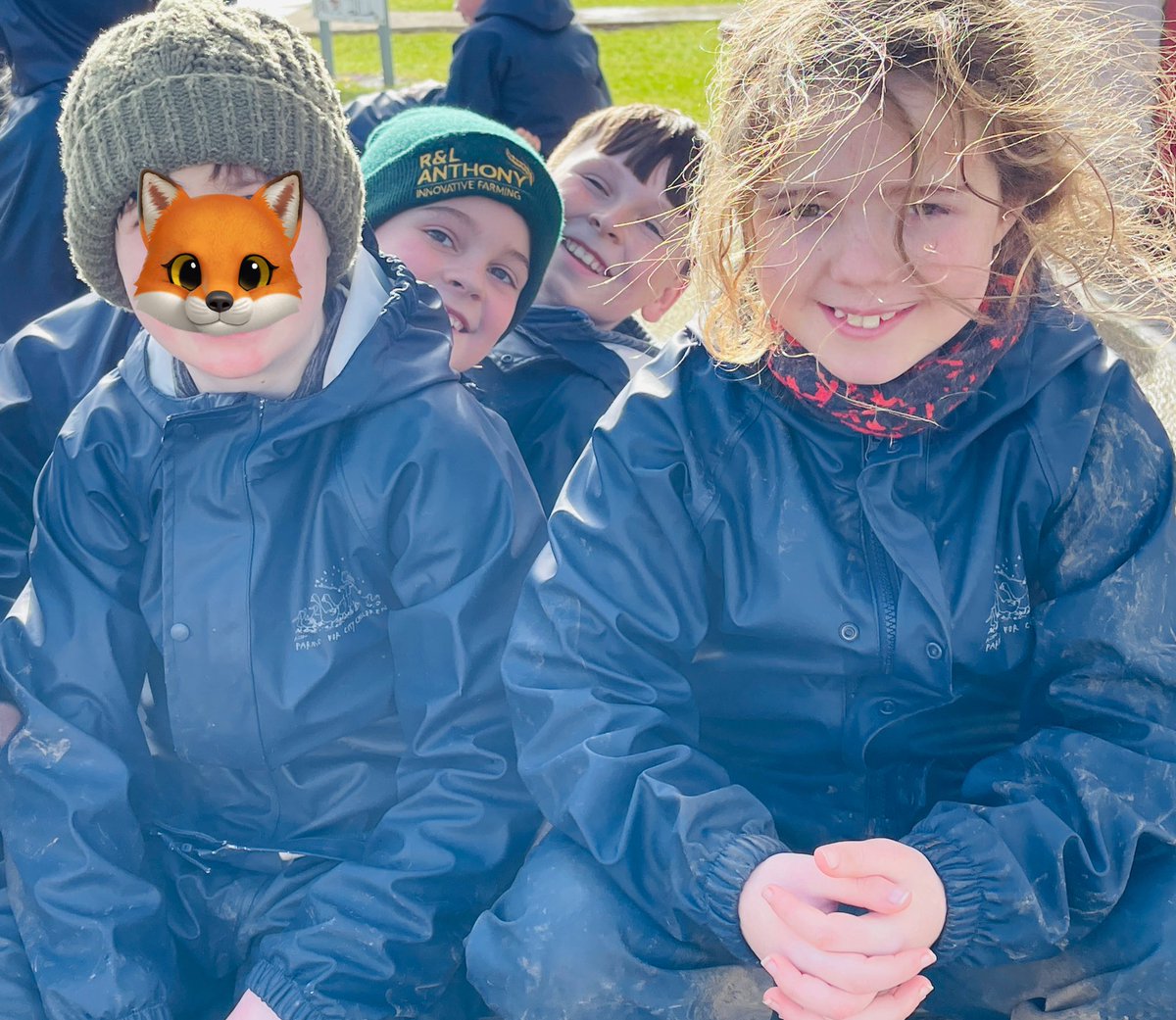 Enjoying the sunshine <a href="/Treginnis_FFCC/">Lower Treginnis - Farms for City Children</a> #inquiry