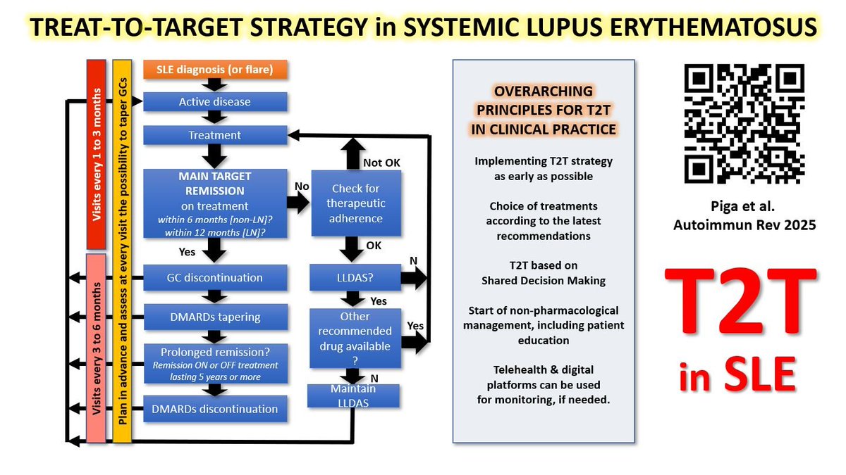 ✅ As expected we have been granted a 50-day FREE OPEN ACCESS 🔓 for our recent paper on treat-to-target in systemic #Lupus 👍 If you are interested in DOWNLOADING the pdf for free, simply follow this LINK: authors.elsevier.com/a/1kdub5alwYF%…