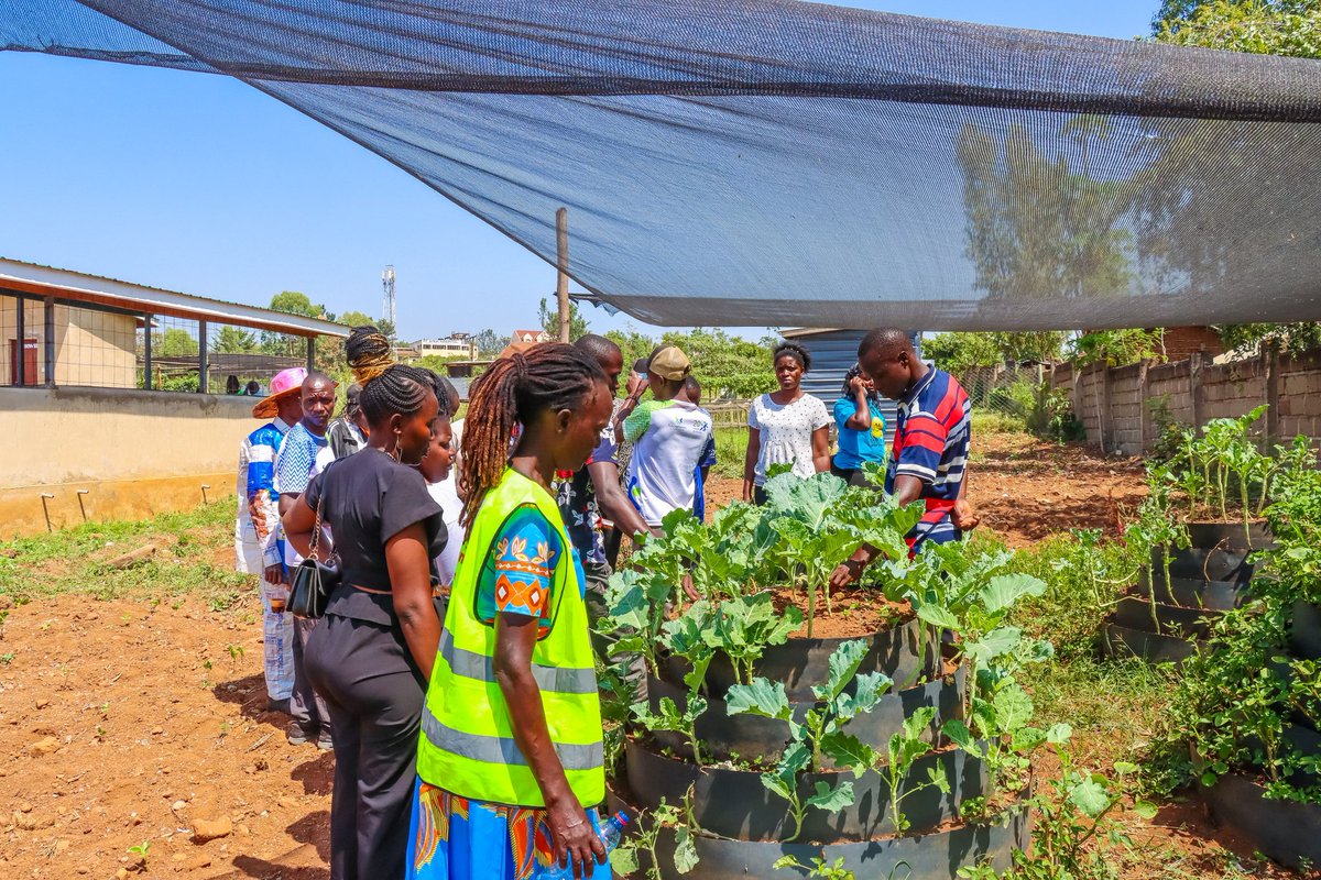 Miya Ywech (@mywech) on Twitter photo #EcoClubActivation
Creating awareness help in building connections and ownership of an idea with the aim of reaching the wider community!
Today hosted Zero Waste champions for the EcoClubs activation at our Material Recovery Facility in Mamboleo, Kisumu.
<a href="/KisumuCountyKE/">Kisumu County</a> #EcoClubActivation
Creating awareness help in building connections and ownership of an idea with the aim of reaching the wider community!
Today hosted Zero Waste champions for the EcoClubs activation at our Material Recovery Facility in Mamboleo, Kisumu.
<a href="/KisumuCountyKE/">Kisumu County</a>