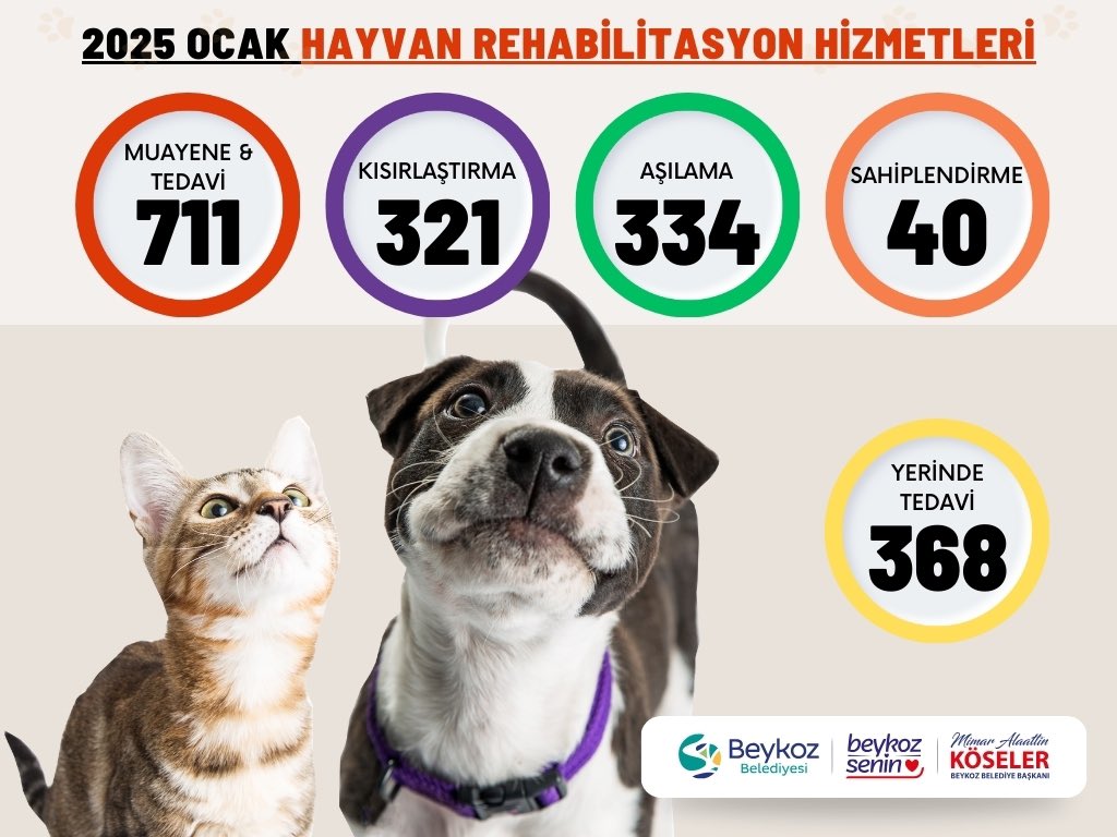 Beykoz_Bld's tweet photo. Ocak ayı dostluk raporumuz hazır! 🐕🫶🏻🐈

🐾 711 can dostumuzun muayene ve tedavisini gerçekleştirdik.
🔍 321 hayvan dostumuzun kısırlaştırmasını yaparak üreme kontrolünü sağladık.
🐶🐱 334 dostumuzun aşılamalarını gerçekleştirerek onların sağlıklı kalmalarını sağladık.

…👇🏻 https://t.co/9qWllzD48s