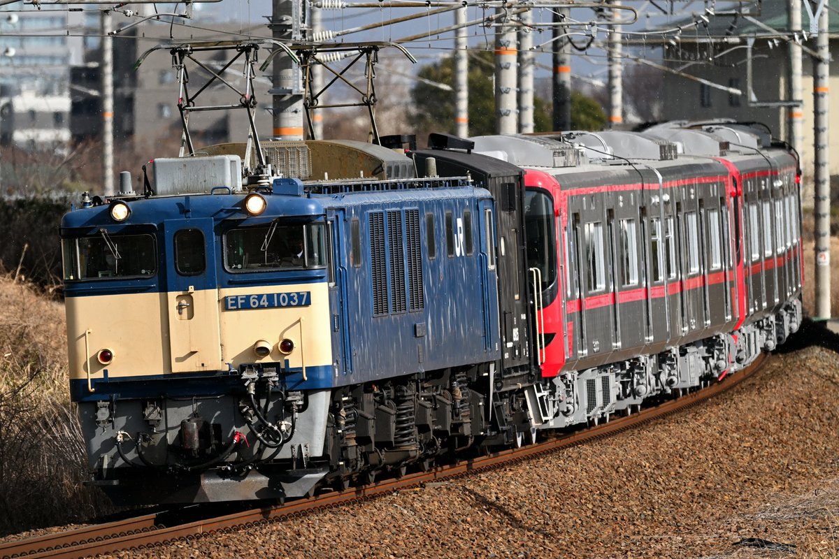 にわとりのあくちん (@Chicken_actin) / Posts / X