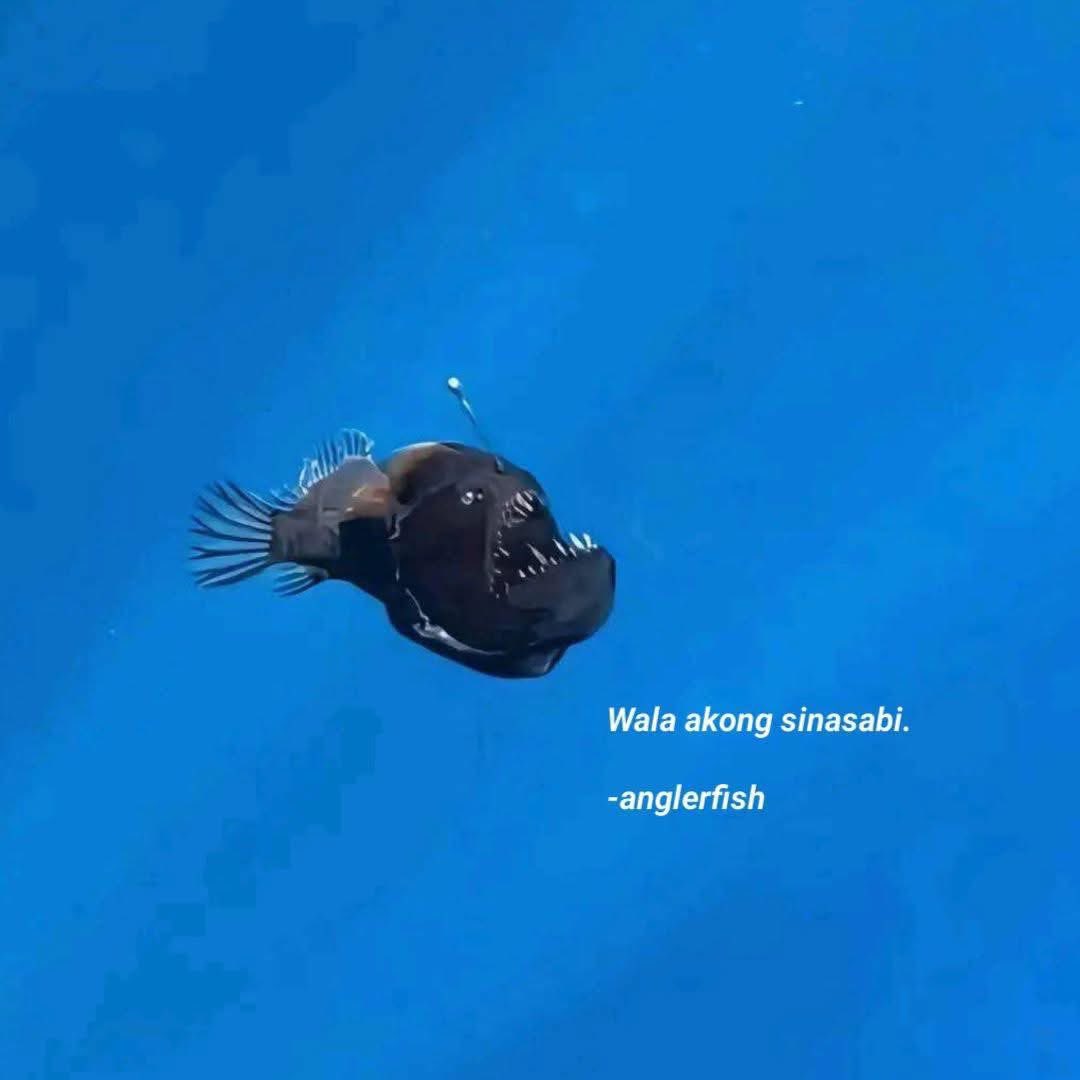 lexluvx's tweet photo. @szxei angler fish ikaw ba yan https://t.co/LuR11N1dry