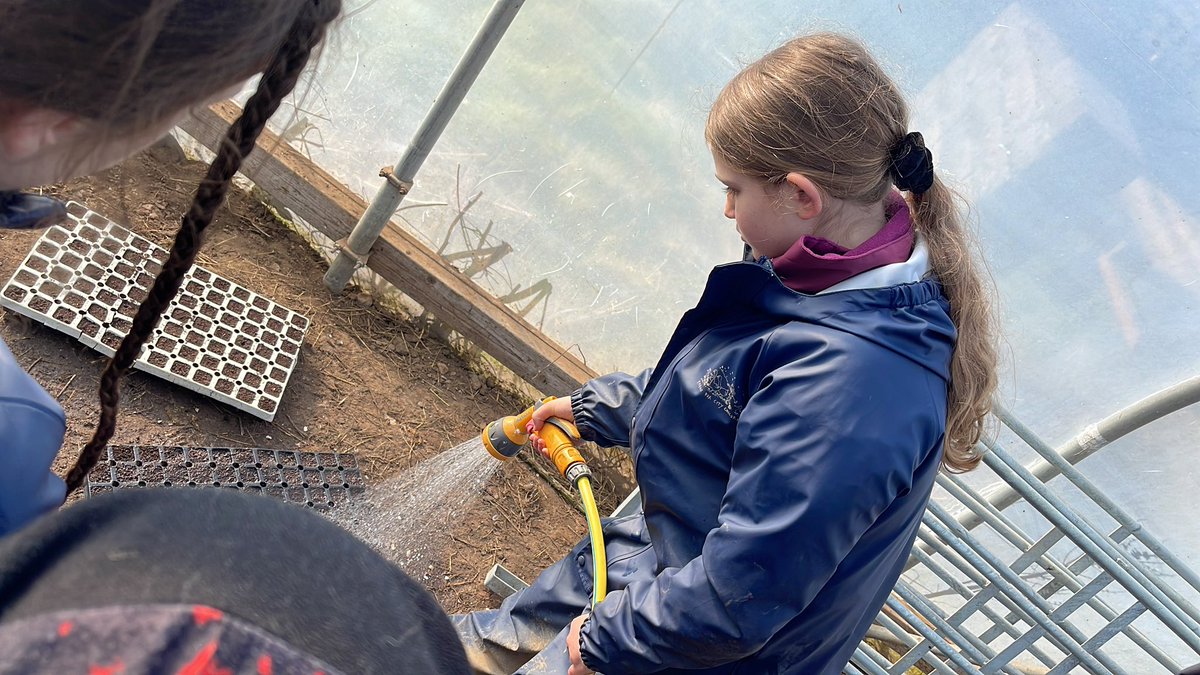Wick Marcross (@wickps) on Twitter photo Planting Dahlia seeds in the sunshine <a href="/Treginnis_FFCC/">Lower Treginnis - Farms for City Children</a> #inquiry Planting Dahlia seeds in the sunshine <a href="/Treginnis_FFCC/">Lower Treginnis - Farms for City Children</a> #inquiry