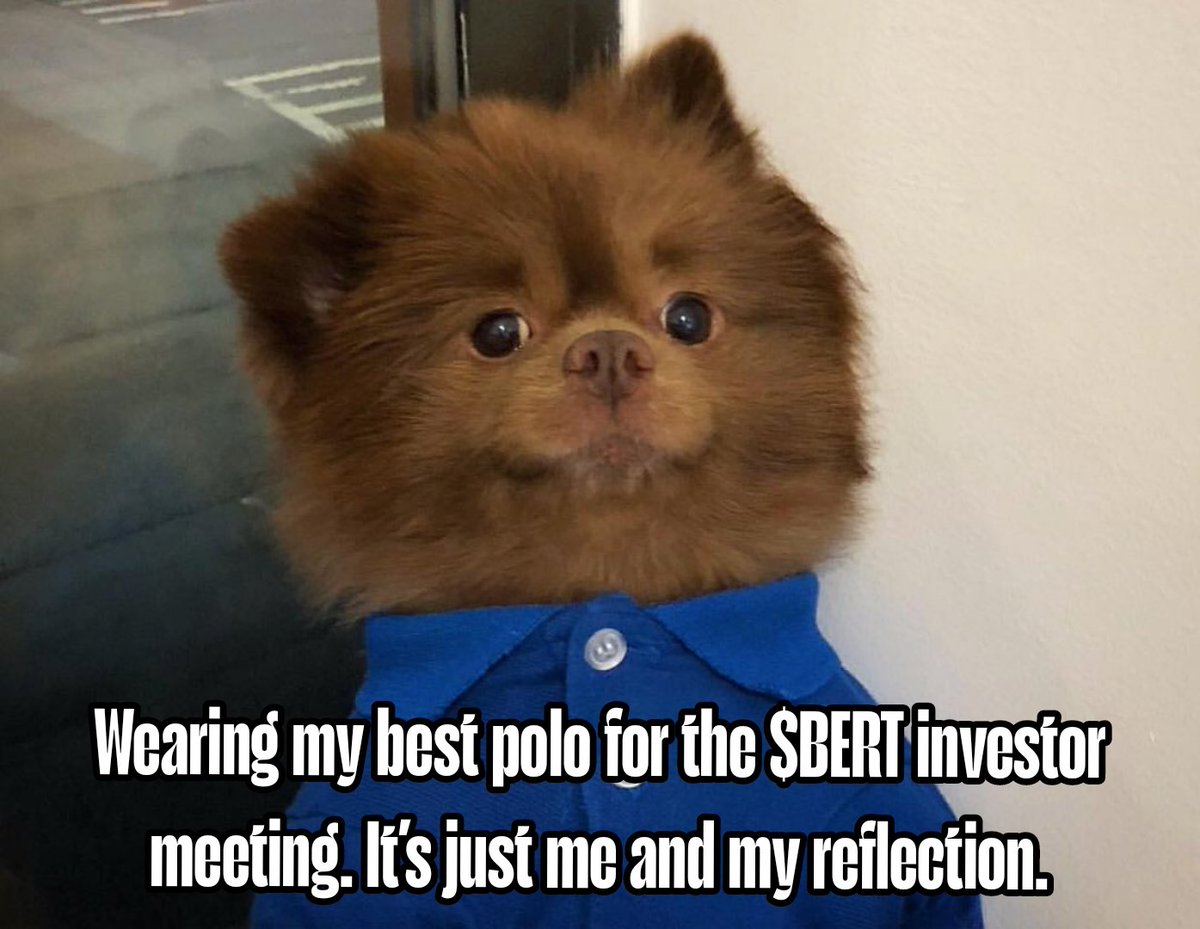 gihobear's tweet photo. @bertcoincto $BERT Reflection 🪞 
@bertcoincto  #BertMEME https://t.co/4ZPw92cVJ4