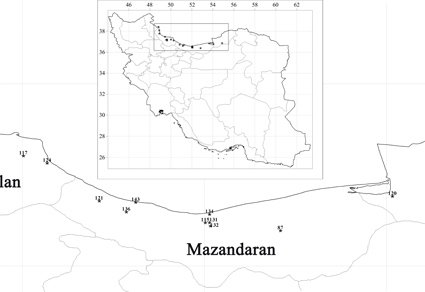 Zootaxa's tweet image. Barcode gap delimitation and phylogenetic analyses in integrative #earthworm taxonomy: Dendrobaena byblica complex mapress.com/zt/article/vie… 
#Taxonomy