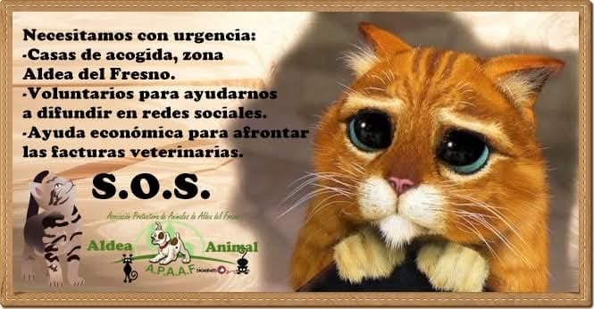 Más info en nuestra página de Facebook