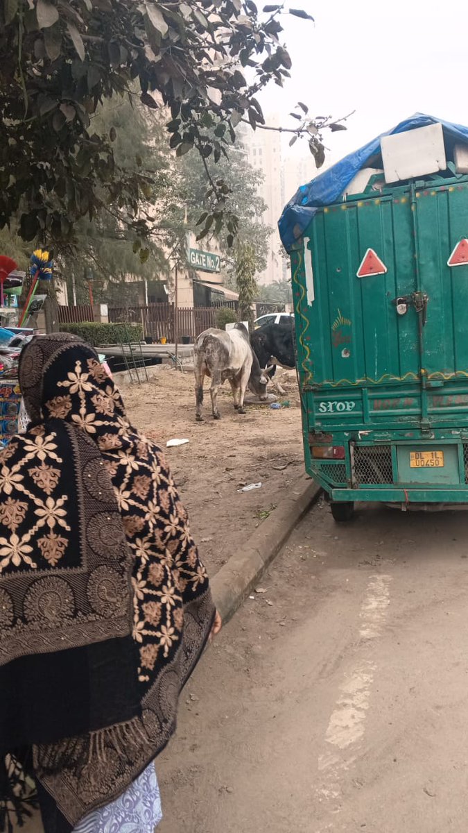 <a href="/CeoNoida/">CEO, NOIDA Authority</a> <a href="/dmgbnagar/">DM G.B. Nagar/NOIDA</a> <a href="/noidapolice/">POLICE COMMISSIONERATE GAUTAM BUDDH NAGAR</a> <a href="/BJP4UP/">BJP Uttar Pradesh</a> <a href="/tejpalnagarMLA/">Tejpal Nagar</a> <a href="/AdtAmbrish/">Ambrish Tripathi</a> <a href="/AmarUjalaNews/">Amar Ujala</a> सर आपसे अनुरोध है की लॉजिक्स ब्लॉसम काउंटी सेक्टर 137 गेट नंबर 2 और 1 के बाहर गाय और सांड की टोली खडी रहती है आने जाने वाले लोगो को परेशानी होती है। कृपया इनको गौशाला में भेजने के लिए कुछ करें ।