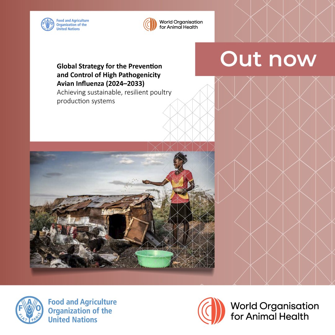 📣 #OutNow | Global Strategy for the Prevention and Control of High Pathogenicity Avian Influenza (2024–2033)

A 10-year plan by <a href="/FAO/">Food and Agriculture Organization</a> &amp; <a href="/WOAH/">World Organisation for Animal Health</a> to address current challenges and achieve sustainable, resilient poultry production systems.

🔗doi.org/10.4060/cd3840…

#GFTADs
