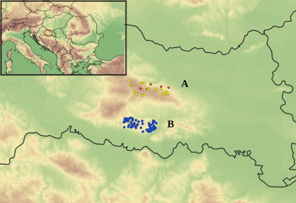 Zootaxa's tweet image. #Earthworm fauna (#Oligochaeta: Lumbricidae) of Croatian Pannonian mountains—Papuk and Požeška gora 
mapress.com/zt/article/vie… 
#Taxonomy