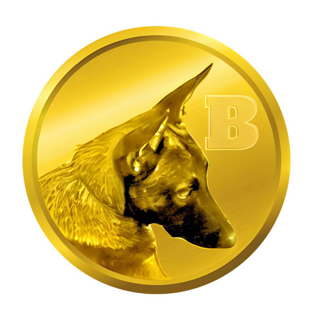 After careful consideration and feedback from the community we have changed our logo, to have a unique look.
A distinguish fresh look #F2B

B for #Broccoli