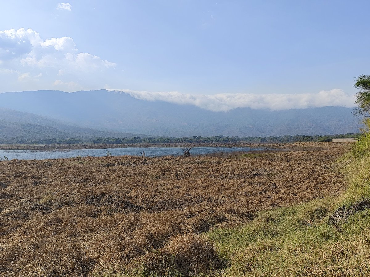 Dique de Guataparo en niveles críticos..
Es urgente que las autoridades hídricas de la región evalúen la razón del descenso del nivel del dique a fin de plantear correctivos. 

En riesgo el cuerpo de Agua de Emergencia de la Gran Valencia..

#valencia
#carabobo
#agua