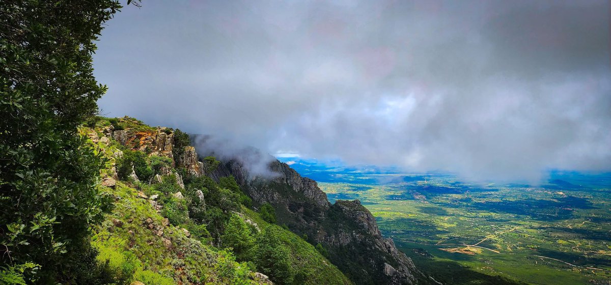 Eastern Highlands 
•
Your perfect hiking destination in Zimbabwe.
#visitzimbabwe #travel  #explore #views #landscapes #scenery
