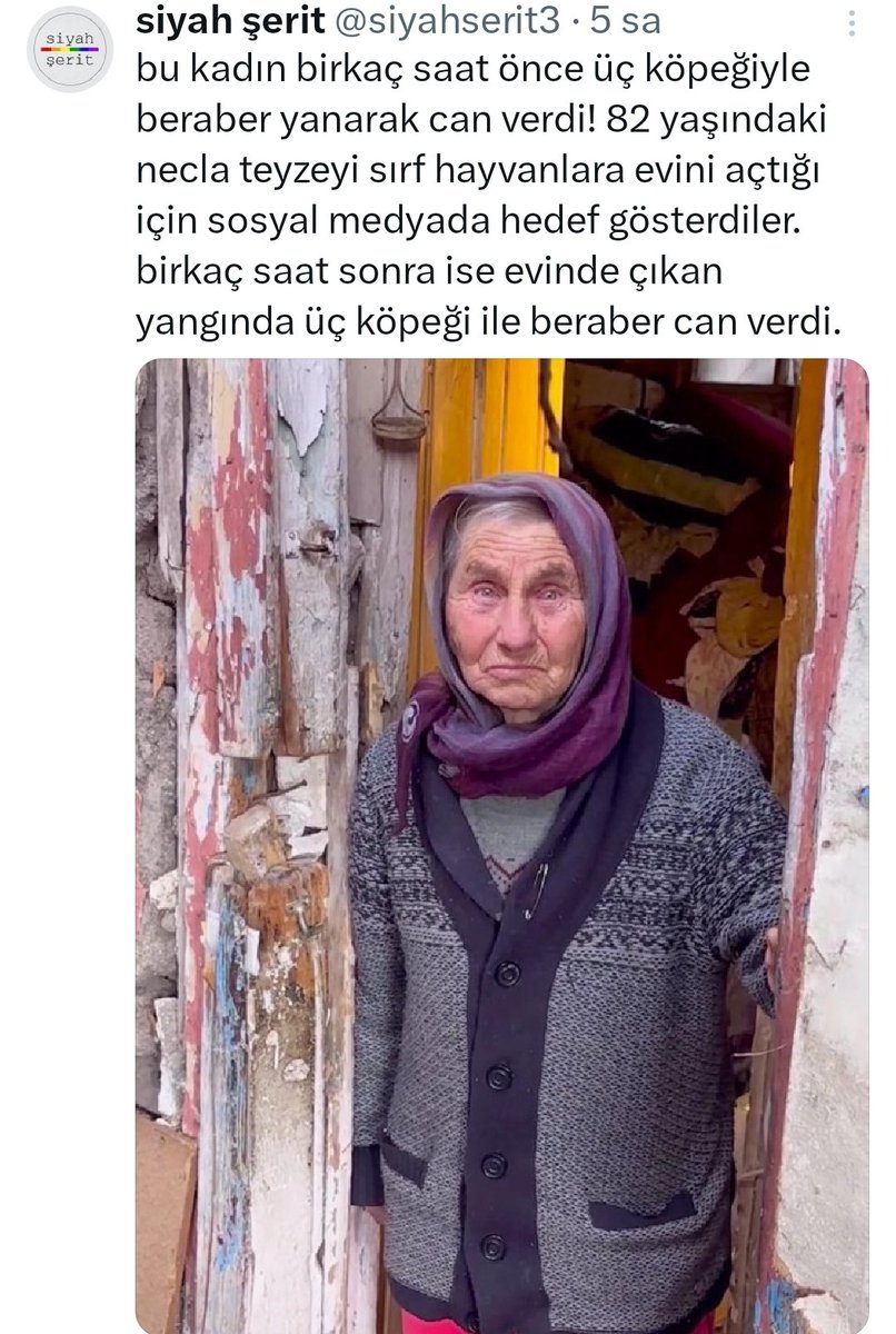 Bircan BARIŞIK tweet media